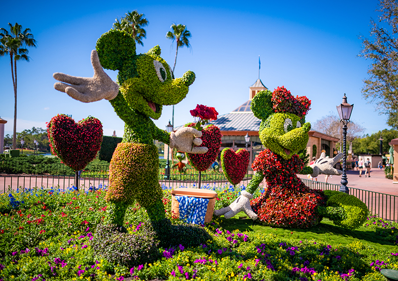 Mickey Minnie Topiary