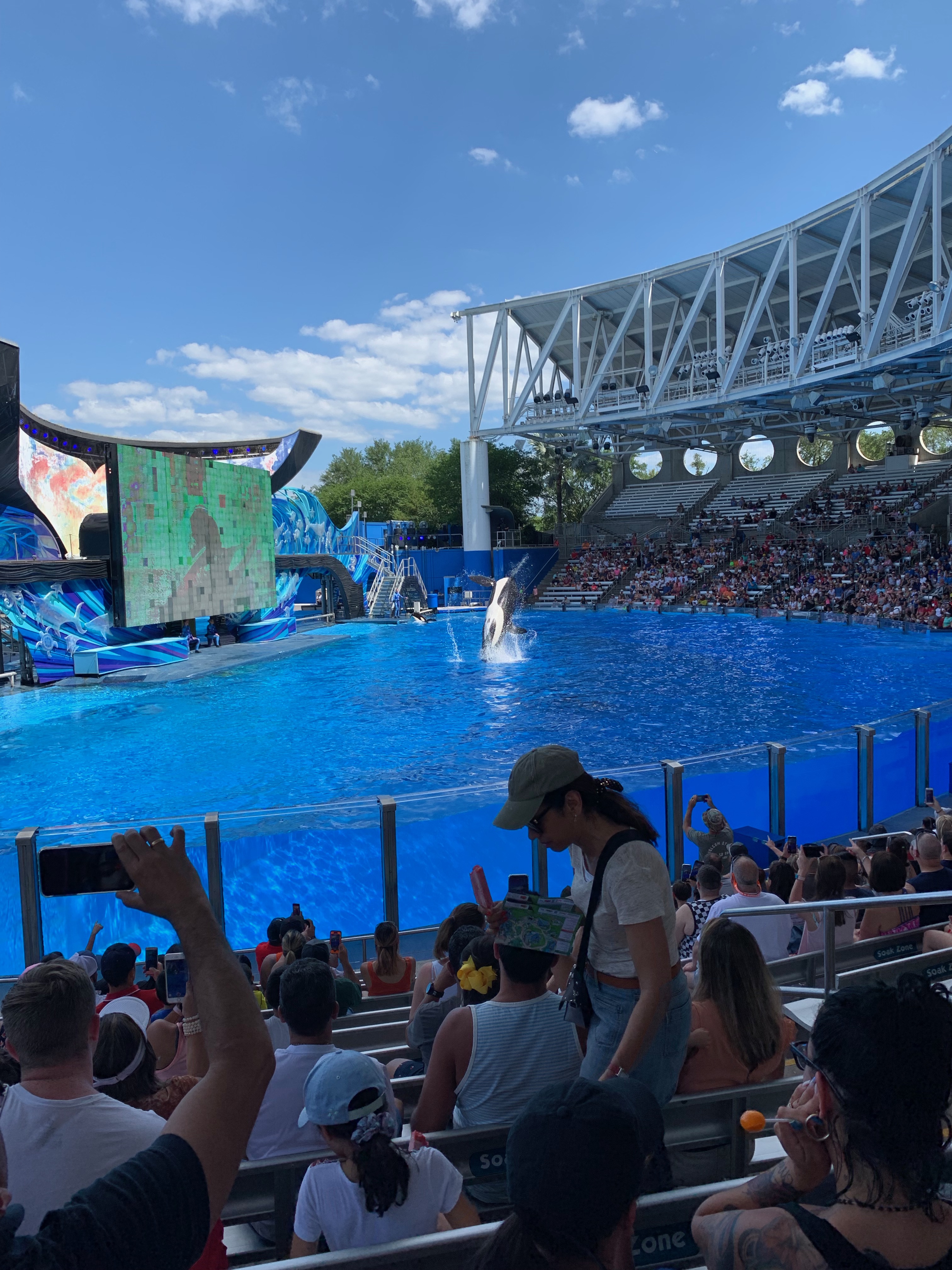 Shamu Show