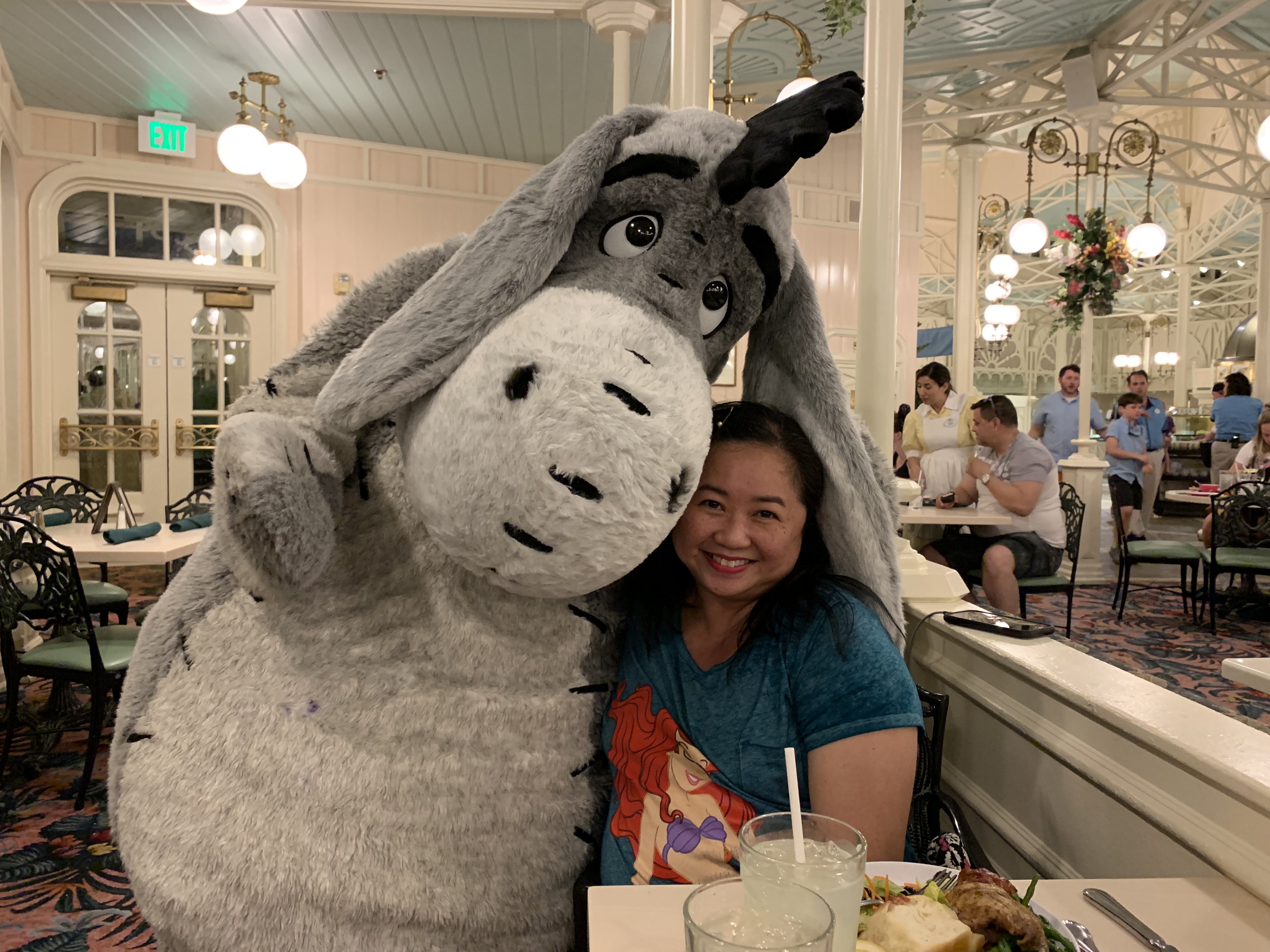 Eeyore for MeeGee